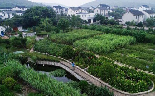 常見(jiàn)污水治理方法有哪些？